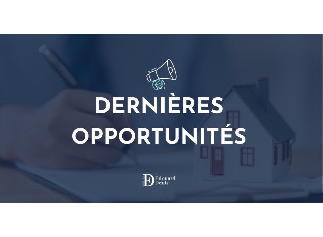Domaine de Suède programme neuf Tours