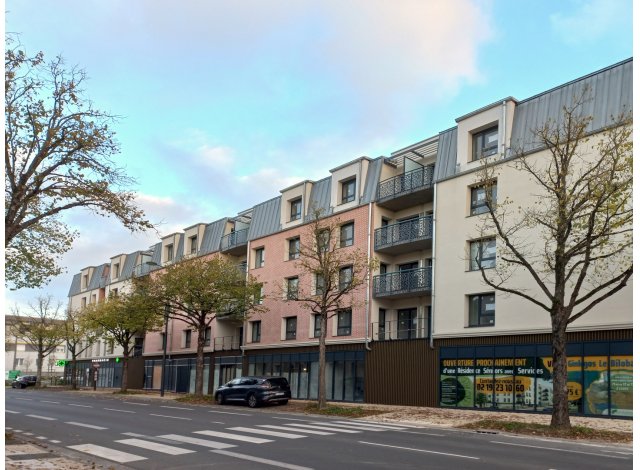 Villas Ginkgos le Biloba Immobilier neuf Bourges
