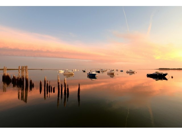 Collections programme neuf Arcachon