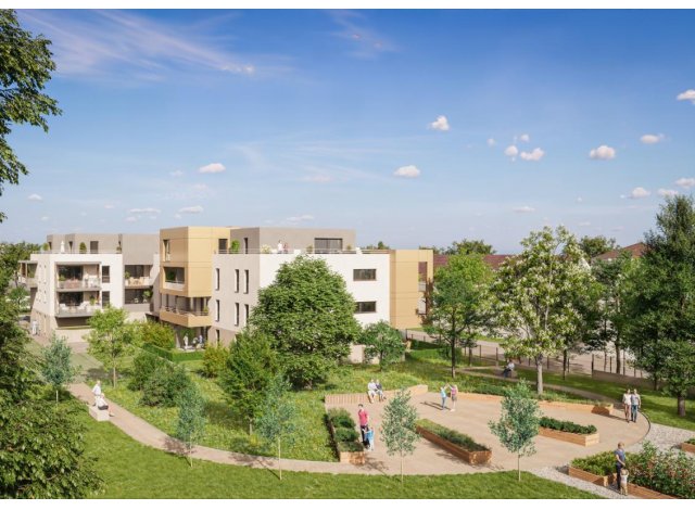 Logement neuf Bischheim : Villa Zénith